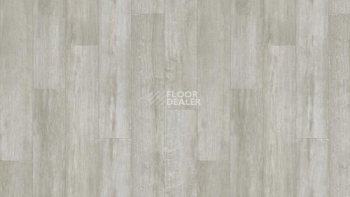Tarkett Idylle Nova FARGO 1 фото 1 | FLOORDEALER